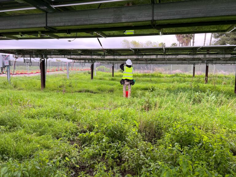 Joint Force Training Los Alamitos Website 11