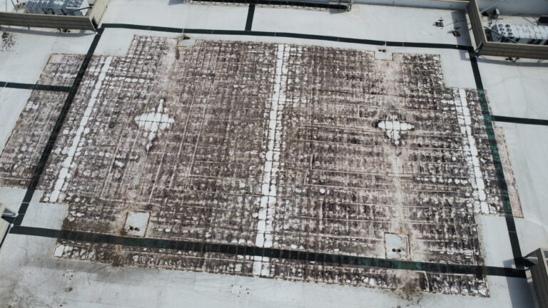 Macy Website 3 scaled